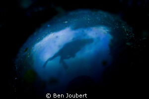 Diver & surrounding reef reflection in a Sea Pearl by Ben Joubert 